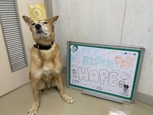 500