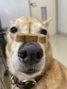 501