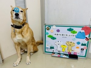 555