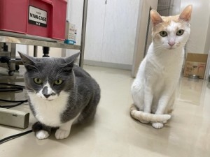 635