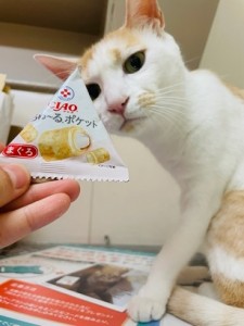 656