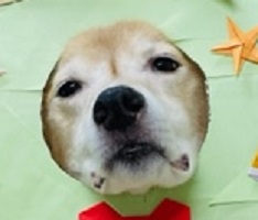 754