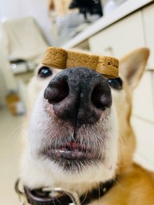 818