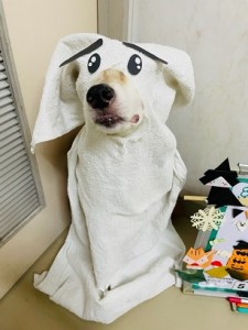 876
