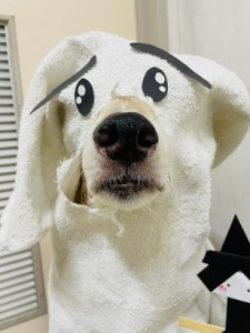 882