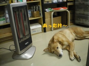 IMGP0072