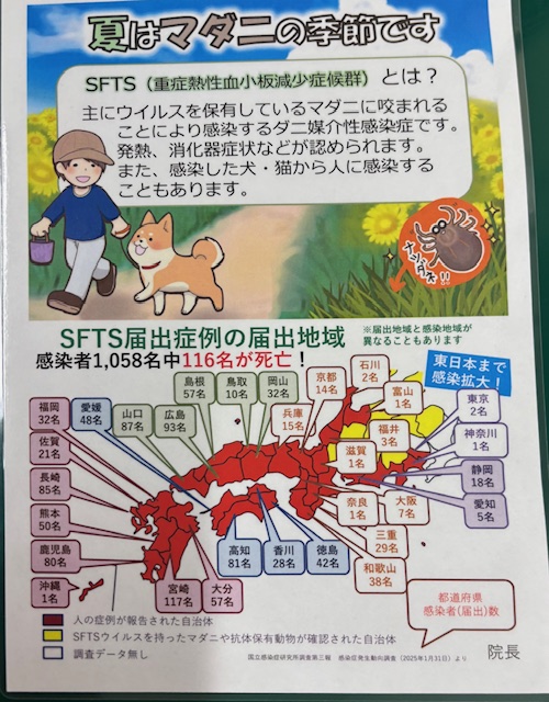 マダニに注意しましょう
