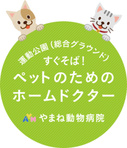 main_copy